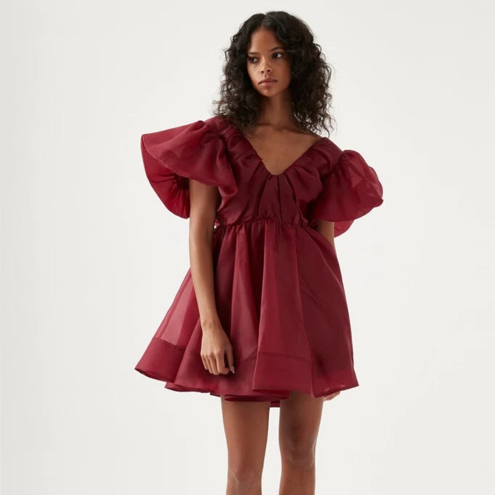 Aje Gretta Organza Mini Dress